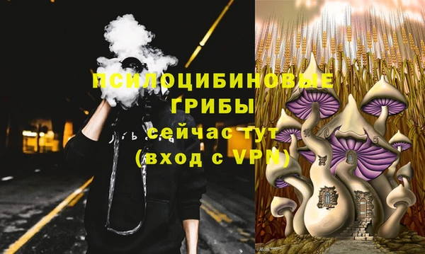 мяу мяу мука Абдулино