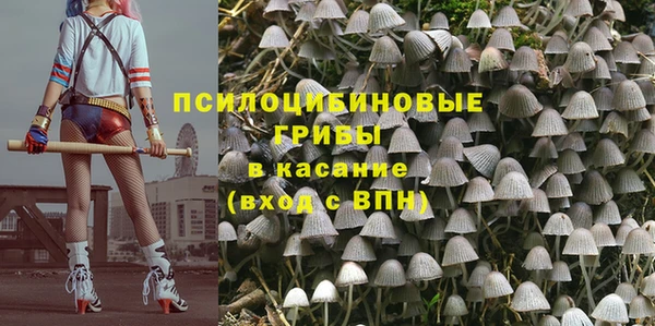 мяу мяу мука Абдулино