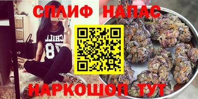 МДПВ Можга