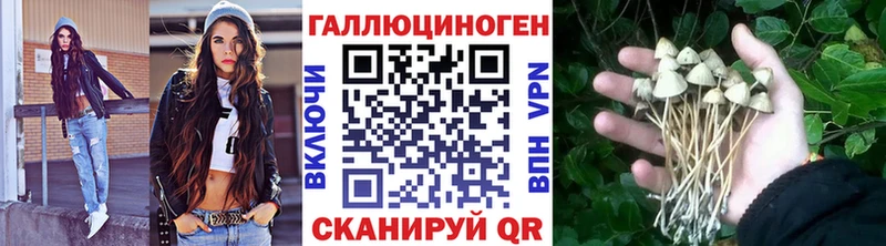 Галлюциногенные грибы ЛСД  гидра как зайти  Домодедово 